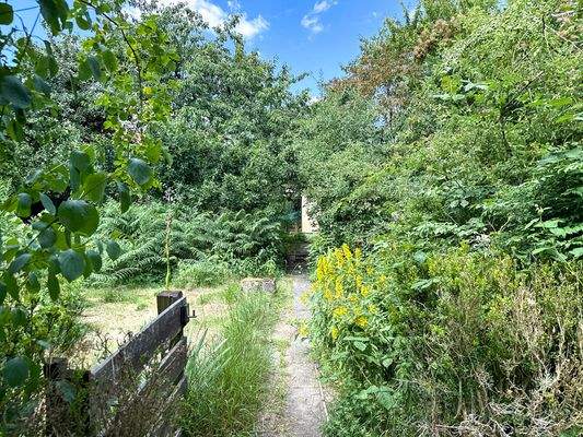 Garten Blickrichtung Haus