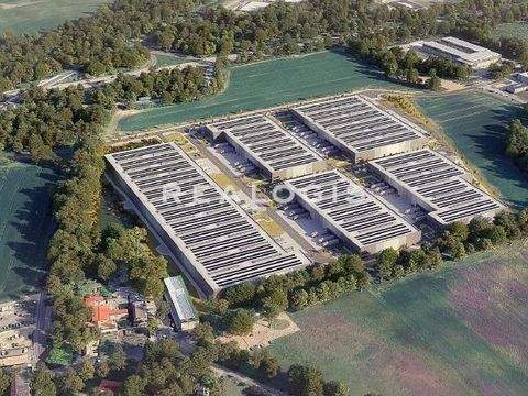 Bernau Halle, Bernau Hallenfläche