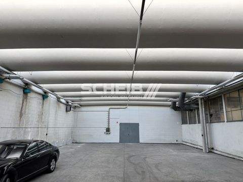 Crailsheim Halle, Crailsheim Hallenfläche
