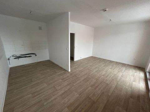 Magdeburg Wohnungen, Magdeburg Wohnung mieten