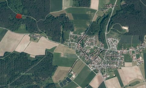 Haundorf Bauernhöfe, Landwirtschaft, Haundorf Forstwirtschaft