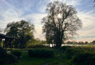 IMG_9837.jpeg