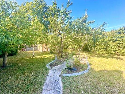 Weg zu Gewächshaus.jpeg