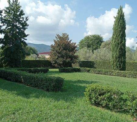 Immagine WhatsApp 2025-08-26 ore 12.59.jpg