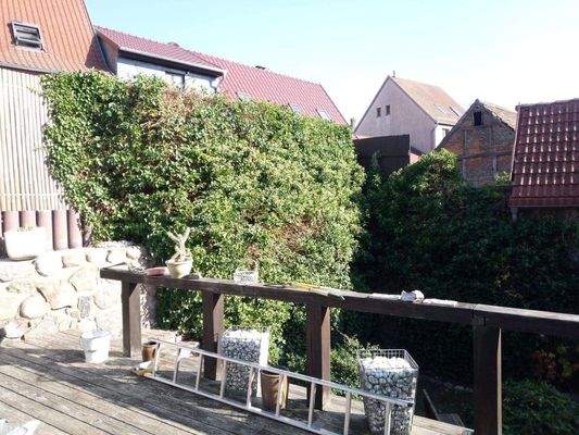 PHOTO-2025-03-11-15-19-56 2.jpg