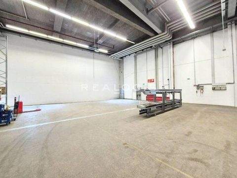 München Halle, München Hallenfläche