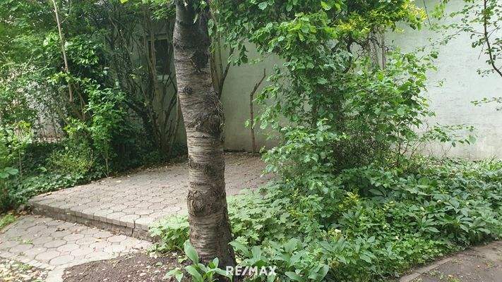 8.Grundstück mit Scheune