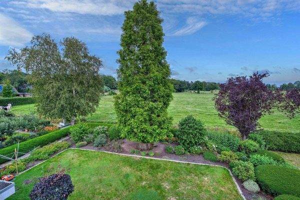 Blick auf die Weiden