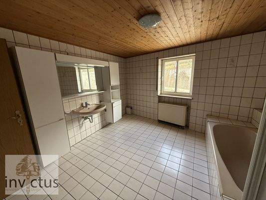 EG großzügiges Badezimmer