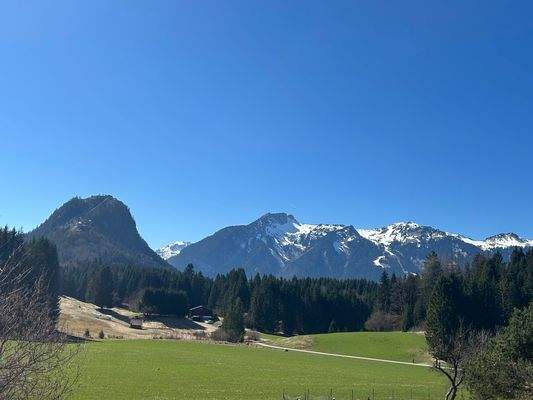 Aussicht zur Ruhine Ehrenberg