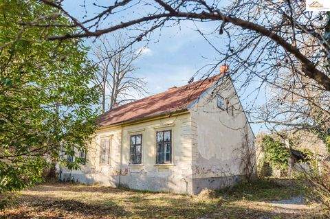 Pitten Häuser, Pitten Haus kaufen