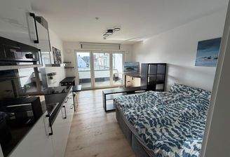 Moderne Einzimmerwohnung