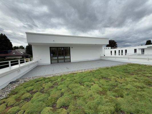 WhatsApp Bild 2025-09-03 um 13.48.19_e26da640.jpg