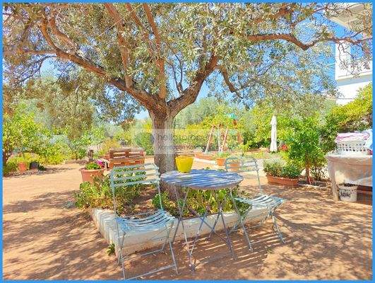 f54b56b80ae4401daccdfb9c1a0735e6-original