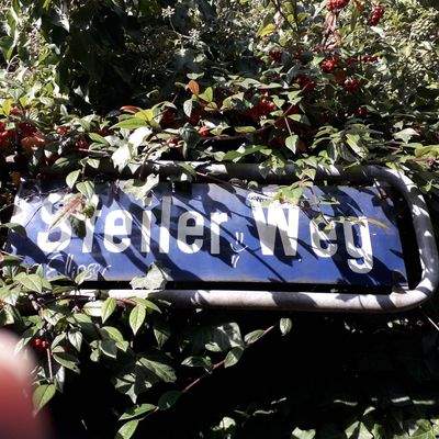 Über diese Treppe müssen Sie gehen