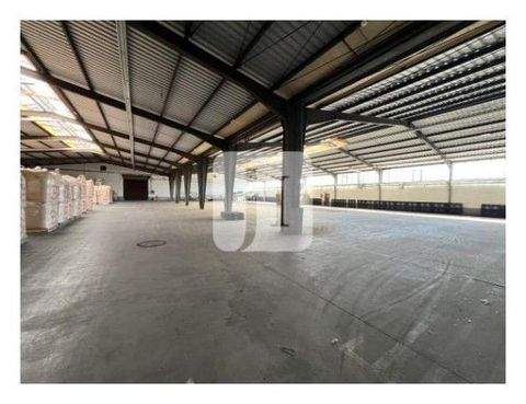 Winsen Halle, Winsen Hallenfläche