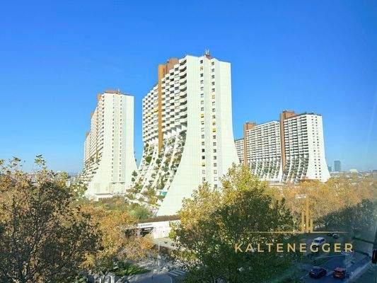 Blick auf die Anlage Alt Erlaa gegenüber