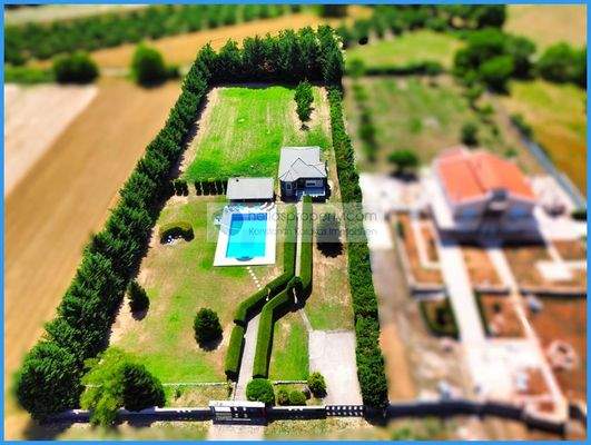 ca7c47807a19453e9952a035d45bf39b-original