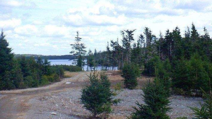 Blick Zufahrt und Teil Grundstück.JPG