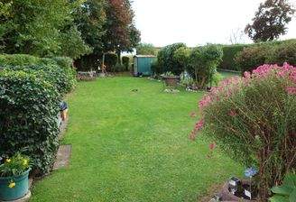 Garten, vor der Neuvermietung