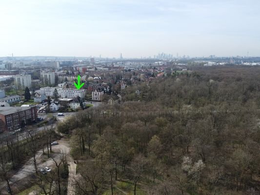 Luftbild Park und Skyline