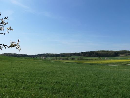 P1001059