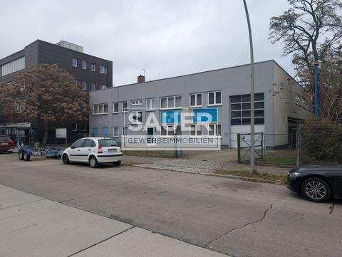 Berlin Halle, Berlin Hallenfläche