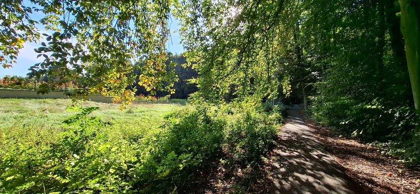 Wilhelm-Wunderlich-Park 1