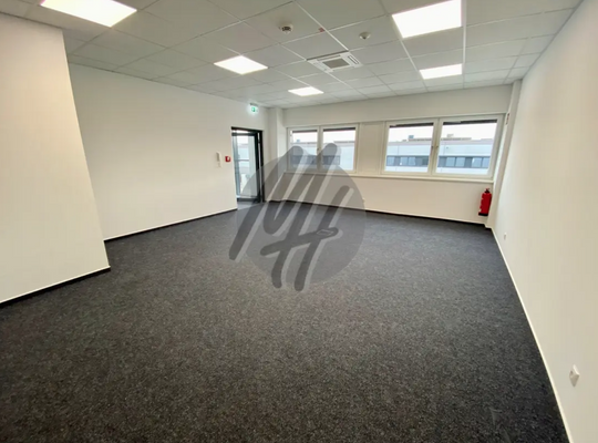 INFOS UNTER: 06171-586000