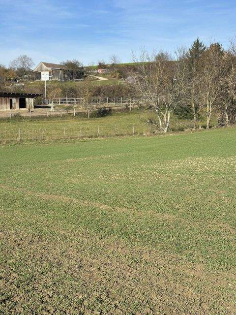 Ameisthal Grundstücke, Ameisthal Grundstück kaufen