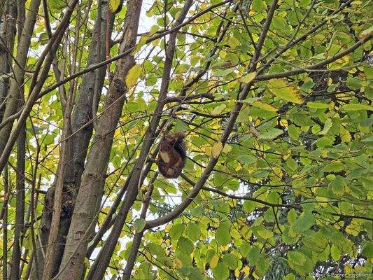 Impression aus dem Garten