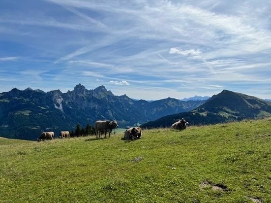 Landschaftsbild