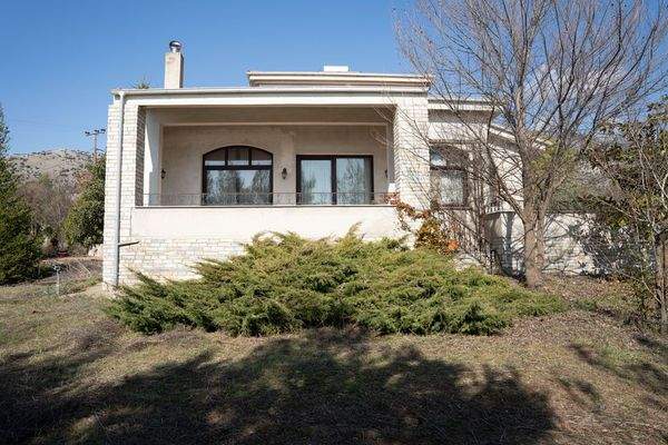 Krinides-Tsiriktsidou 23-02-2024-36.jpg