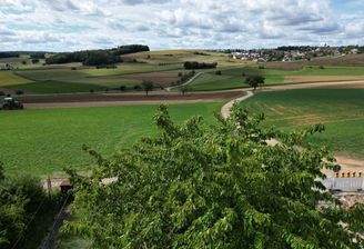 DJI_0050