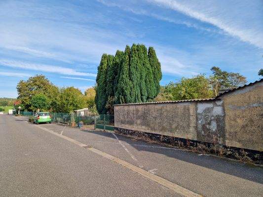 über 100 Meter lang