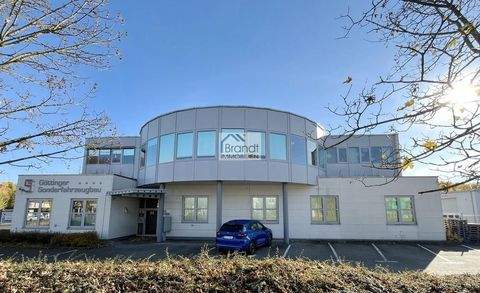 Göttingen Halle, Göttingen Hallenfläche