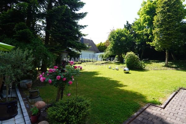 Bild_5