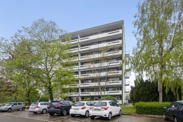 Hausanischt
