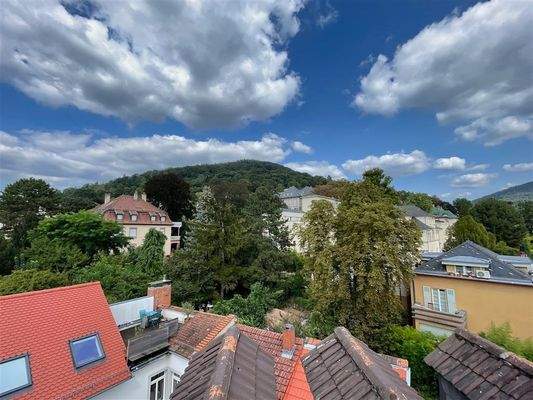 DG Ausblick auf Philosophenweg - Heiligenberg