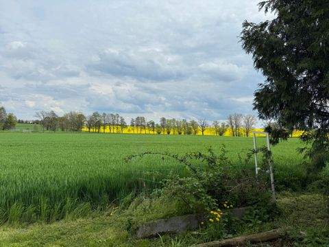 Uebigau-Wahrenbrück Bauernhöfe, Landwirtschaft, Uebigau-Wahrenbrück Forstwirtschaft