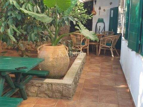 Mali Losinj Wohnungen, Mali Losinj Wohnung kaufen