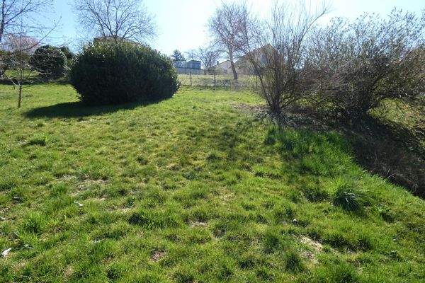 Garten oberhalb des Hauses