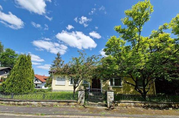 a -EFH mit Garten.jpg