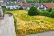 Grundstück von der Straßenseite 
