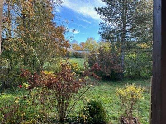 Blick auf die Nachbarschaft im Osten