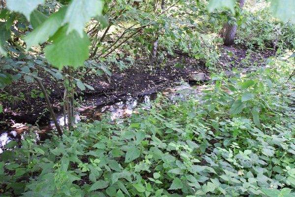 Kleiner Bachlauf Grundstücksgrenze.jpg