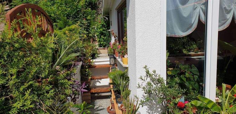 Seiteneingang Südterrasse 