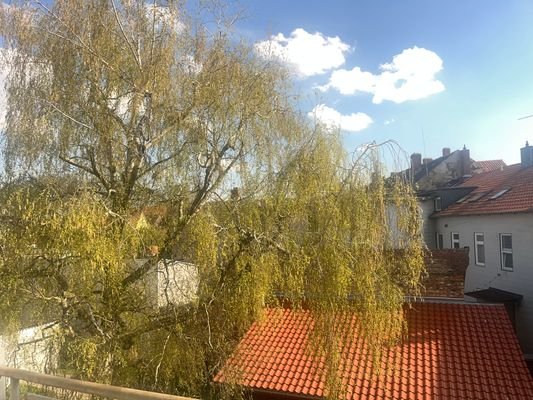 Ausblick vom Balkon