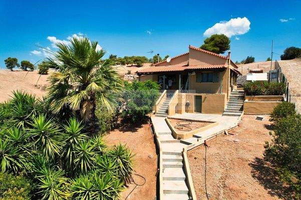 img_83b69424-c4d6-4701-8375-b8cffd7328f9