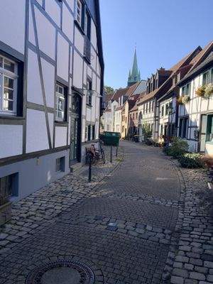 Blick in die Altstadt